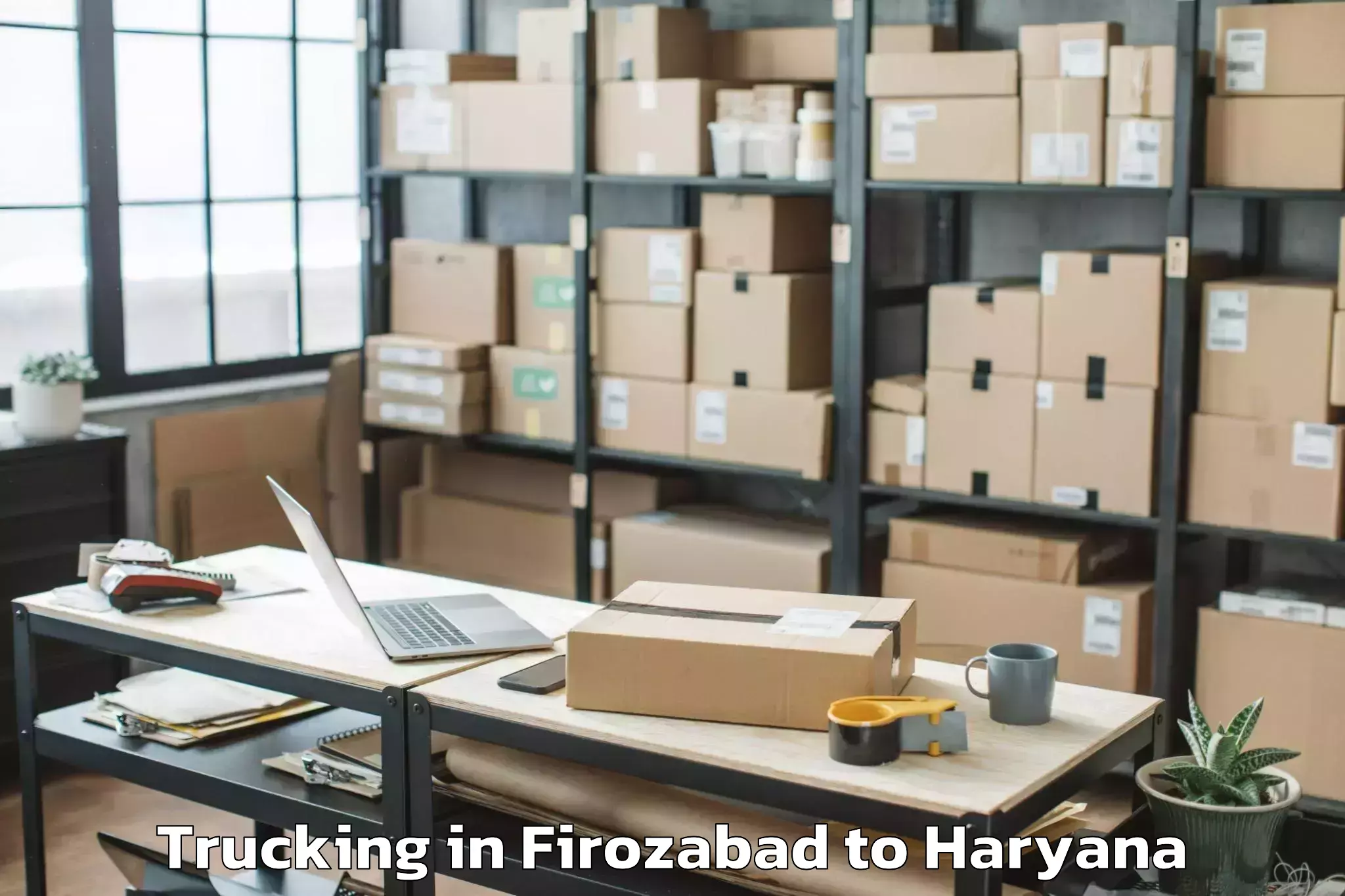 Top Firozabad to Tdi Mall Sonipat Trucking Available